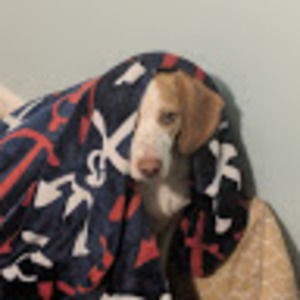 Meet your Posher, Annabelle